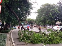 BMKG: Siaga Bencana Efek Cuaca Tanggal 2-8 September, Ini Lokasinya