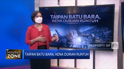 Taipan Batu Bara, Kena Durian Runtuh