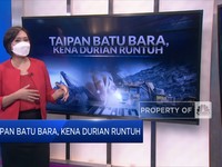 Taipan Batu Bara, Kena Durian Runtuh