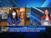 Jelang Ramadan, Pemerintah Impor 12 Ribu Ton Daging Kerbau