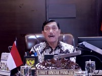 Luhut Pandjaitan Mangkel Sama Elon Musk: You Can Not Do This!