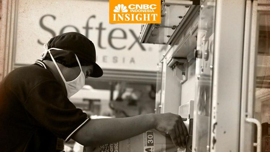 Cover Insight, Softex