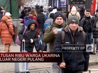 Diaspora Ukraina di Luar Negeri Pulang Untuk Bantu Perang