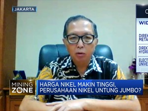 Pengusaha: Tak Selamanya Lonjakan Harga Nikel Menguntungkan