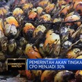 Pemerintah Akan Tingkatkan DMO CPO Menjadi 30%