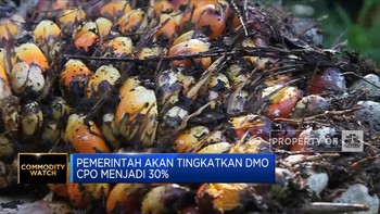 Pemerintah Akan Tingkatkan DMO CPO Menjadi 30%
