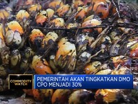 Pemerintah Akan Tingkatkan DMO CPO Menjadi 30%