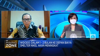 Demi Baterai Listrik, PURE Olah Nikel Kadar Rendah di 2023