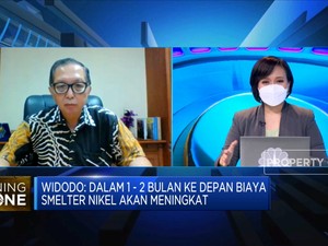 Demi Baterai Listrik, PURE Olah Nikel Kadar Rendah di 2023
