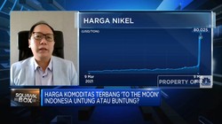 Harga Komoditas 'To The Moon', Indonesia Untung atau Buntung?