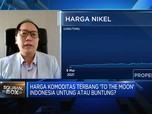 Harga Komoditas 'To The Moon', Indonesia Untung atau Buntung?