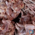 Aneh! Harga Ayam di Peternak Murah Banget, di Pasar Segini