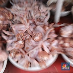Fakta-Fakta Harga Daging Ayam Terbang, Peternak Malah Nangis!