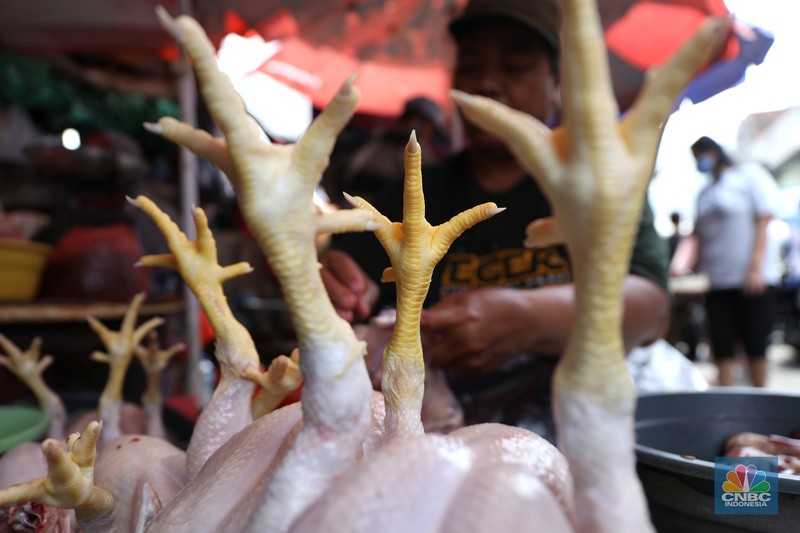 Pedagang melayani pembeli daging ayam di pasar Kebayoran lama, Jakarta, Rabu (9/3/2022). Harga daging ayam di pasaran terus merangkak naik meski belum memasuki bulan Ramadan. (CNBC Indonesia/ Tri Susilo)