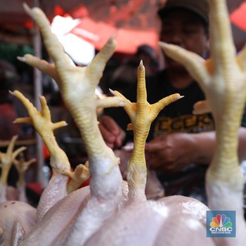 Wadaw! Harga Daging Ayam Naik Terus, Pedagang Pusing