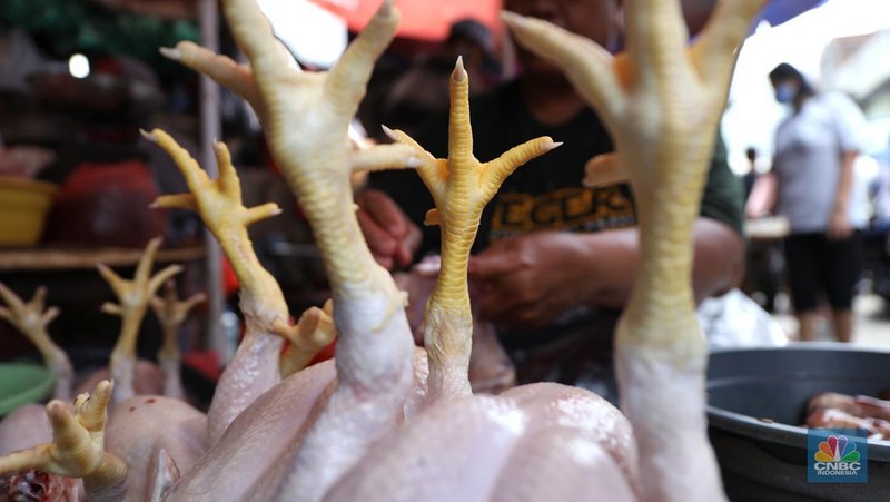 Pedagang melayani pembeli daging ayam di pasar Kebayoran lama, Jakarta, Rabu (9/3/2022). Harga daging ayam di pasaran terus merangkak naik meski belum memasuki bulan Ramadan. (CNBC Indonesia/ Tri Susilo)