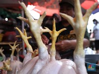 Wadaw! Harga Daging Ayam Naik Terus, Pedagang Pusing