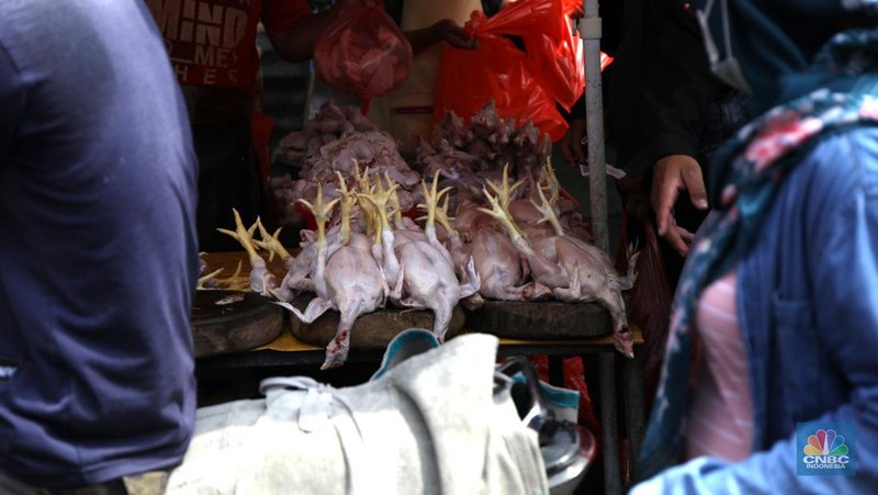 Pedagang melayani pembeli daging ayam di pasar Kebayoran lama, Jakarta, Rabu (9/3/2022). Harga daging ayam di pasaran terus merangkak naik meski belum memasuki bulan Ramadan. (CNBC Indonesia/ Tri Susilo)