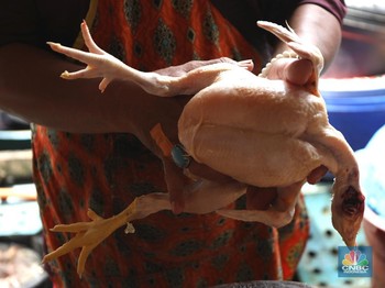 Pedagang Curhat, Daging Ayam Bukan Naik Tapi Ganti Harga!