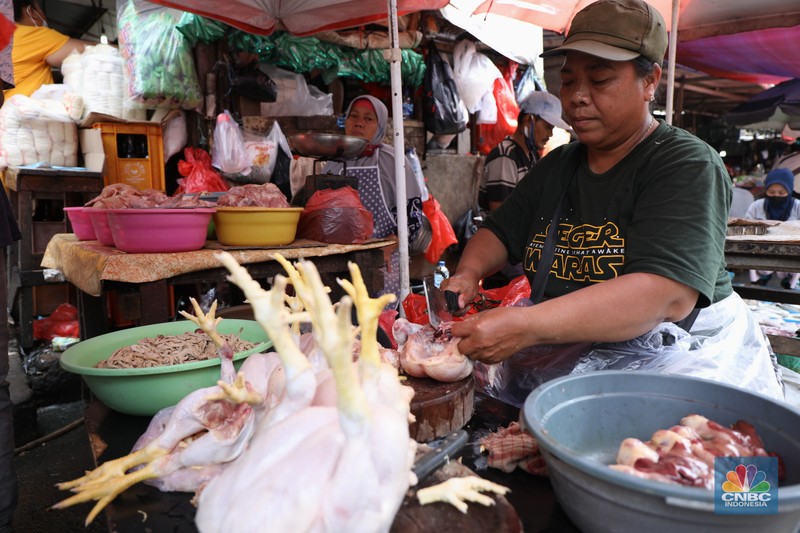Ilustrasi Penjualan Ayam Pedagang melayani pembeli daging ayam di pasar Kebayoran lama, Jakarta, Rabu (9/3/2022). Harga daging ayam di pasaran terus merangkak naik meski belum memasuki bulan Ramadan. (CNBC Indonesia/ Tri Susilo)