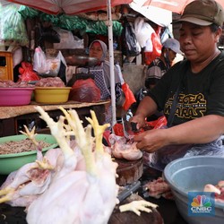 Pedagang Ayam Wajib Sertifikasi Halal, Tak Bisa Cuma Modal Teriak