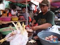 Pedagang Ayam Wajib Sertifikasi Halal, Tak Bisa Cuma Modal Teriak
