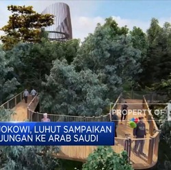 Luhut Berikan 