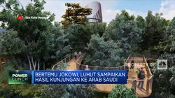 Luhut Berikan 