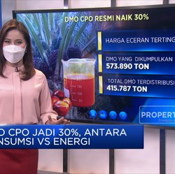 DMO CPO Jadi 30%, Antara Konsumsi VS Energi