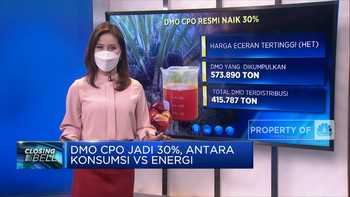 DMO CPO Jadi 30%, Antara Konsumsi VS Energi