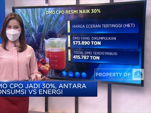 DMO CPO Jadi 30%, Antara Konsumsi VS Energi