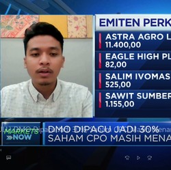 DMO Dipacu Jadi 30%, Saham CPO Masih Menarik?