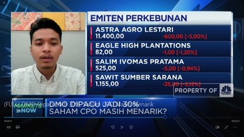 DMO Dipacu Jadi 30%, Saham CPO Masih Menarik?