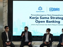 BRI Dorong Inklusi Keuangan Lewat Penerapan Open Banking