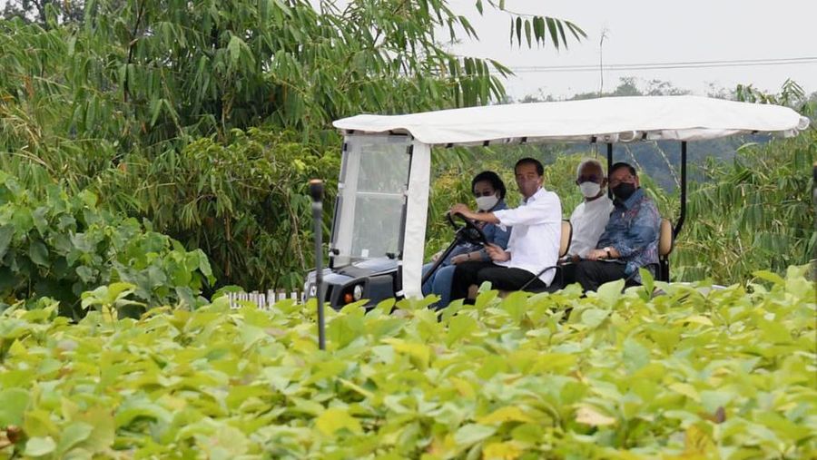Presiden Joko Widodo (Jokowi) meninjau langsung Persemaian Modern Rumpin, Kecamatan Rumpin, Kabupaten Bogor, Jawa Barat, pada Kamis, 10 Maret 2022.. (Foto: Rusman - Biro Pers Sekretariat Presiden)