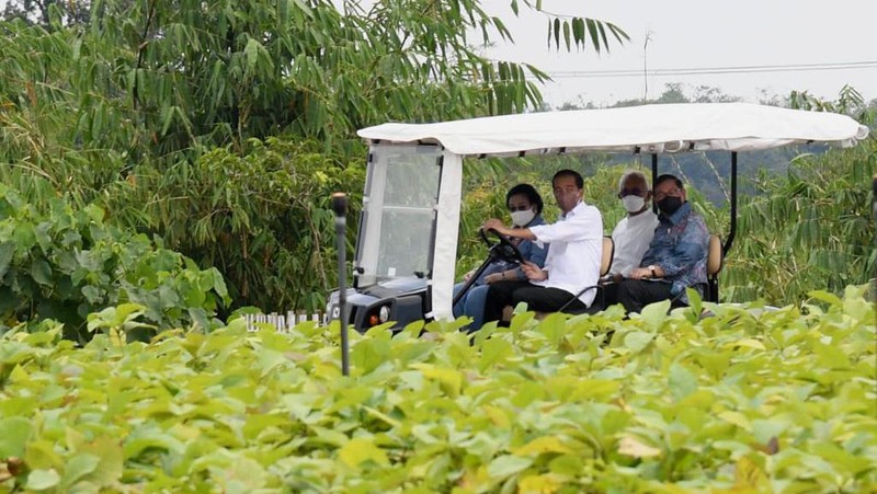 Presiden Joko Widodo (Jokowi) meninjau langsung Persemaian Modern Rumpin, Kecamatan Rumpin, Kabupaten Bogor, Jawa Barat, pada Kamis, 10 Maret 2022.. (Foto: Rusman - Biro Pers Sekretariat Presiden)