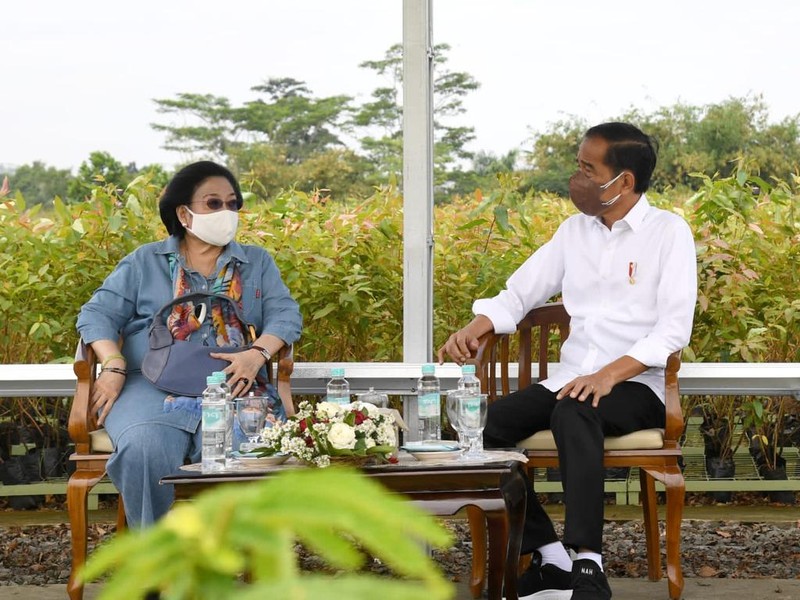 Presiden Joko Widodo (Jokowi) meninjau langsung Persemaian Modern Rumpin, Kecamatan Rumpin, Kabupaten Bogor, Jawa Barat, pada Kamis, 10 Maret 2022.. (Foto: Rusman - Biro Pers Sekretariat Presiden)
