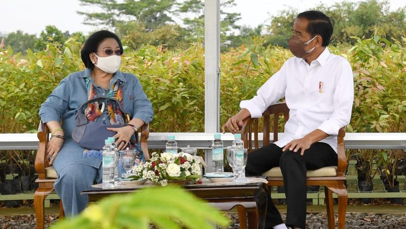 Presiden Joko Widodo (Jokowi) meninjau langsung Persemaian Modern Rumpin, Kecamatan Rumpin, Kabupaten Bogor, Jawa Barat, pada Kamis, 10 Maret 2022.. (Foto: Rusman - Biro Pers Sekretariat Presiden)