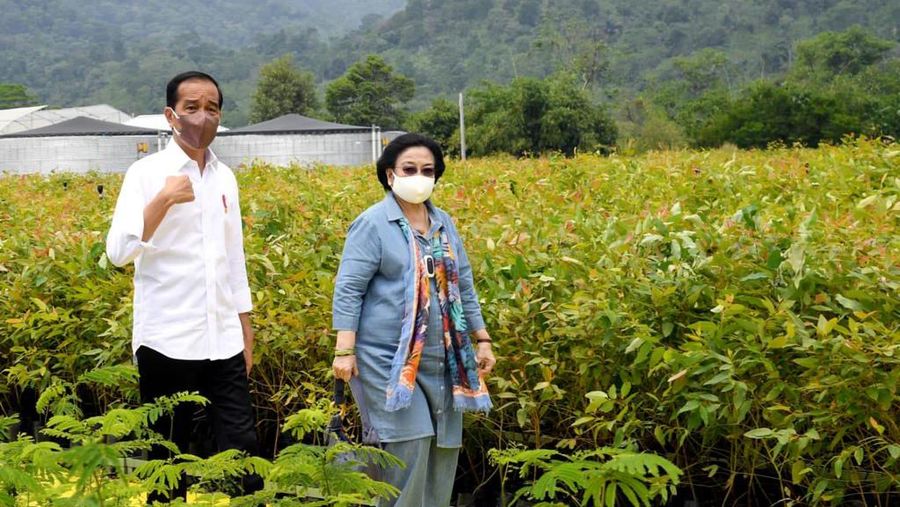 Presiden Joko Widodo (Jokowi) meninjau langsung Persemaian Modern Rumpin, Kecamatan Rumpin, Kabupaten Bogor, Jawa Barat, pada Kamis, 10 Maret 2022.. (Foto: Rusman - Biro Pers Sekretariat Presiden)