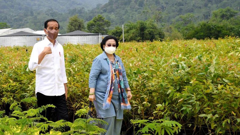 Presiden Joko Widodo (Jokowi) meninjau langsung Persemaian Modern Rumpin, Kecamatan Rumpin, Kabupaten Bogor, Jawa Barat, pada Kamis, 10 Maret 2022.. (Foto: Rusman - Biro Pers Sekretariat Presiden)