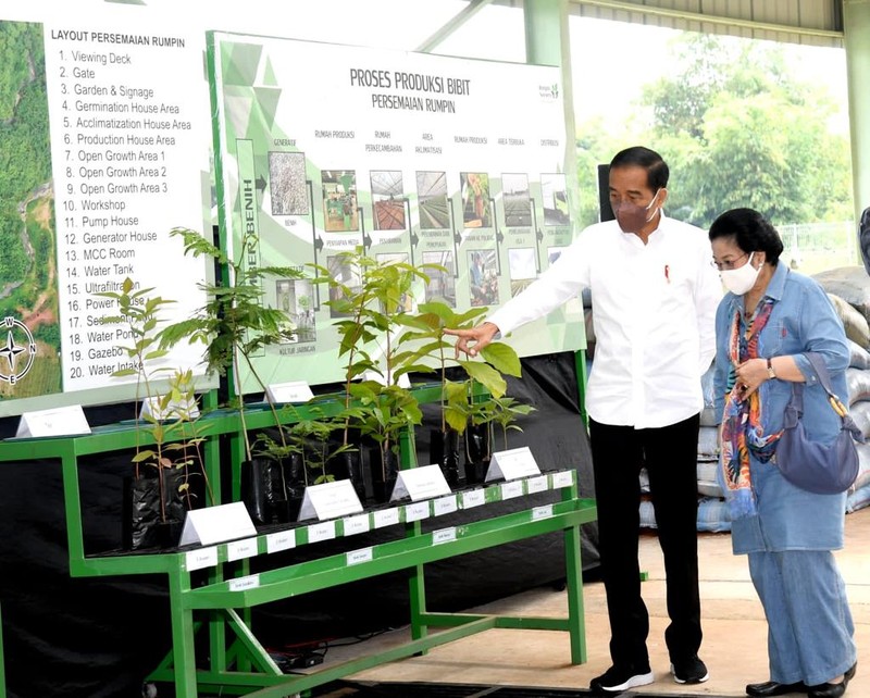 Presiden Joko Widodo (Jokowi) meninjau langsung Persemaian Modern Rumpin, Kecamatan Rumpin, Kabupaten Bogor, Jawa Barat, pada Kamis, 10 Maret 2022.. (Foto: Rusman - Biro Pers Sekretariat Presiden)