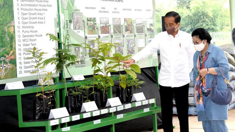 Presiden Joko Widodo (Jokowi) meninjau langsung Persemaian Modern Rumpin, Kecamatan Rumpin, Kabupaten Bogor, Jawa Barat, pada Kamis, 10 Maret 2022.. (Foto: Rusman - Biro Pers Sekretariat Presiden)