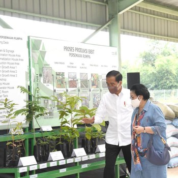 Potret Megawati Turun Gunung Blusukan Bareng Jokowi di Bogor