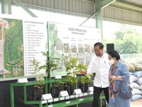 Potret Megawati Turun Gunung Blusukan Bareng Jokowi di Bogor