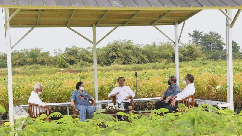 Presiden Joko Widodo (Jokowi) meninjau langsung Persemaian Modern Rumpin, Kecamatan Rumpin, Kabupaten Bogor, Jawa Barat, pada Kamis, 10 Maret 2022.. (Foto: Rusman - Biro Pers Sekretariat Presiden)