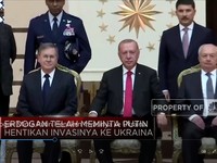 Erdogan Minta Putin Hentikan Invasinya ke Ukraina