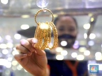 Ada Tanaman Penghasil 5 Gram Emas, Tersebar di Indonesia!