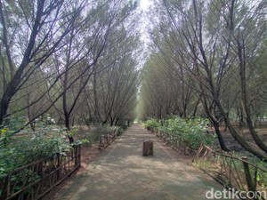 Ruang Terbuka di Disrik Pakal, Wilayah Paling Barat Surabaya