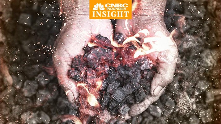 Cover Topik Insight, Raja Batu Bara Cover Topik Insight, Raja Batu Bara