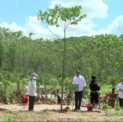 Ditemani 'Satria Nusantara', Jokowi Tanam Pohon di IKN